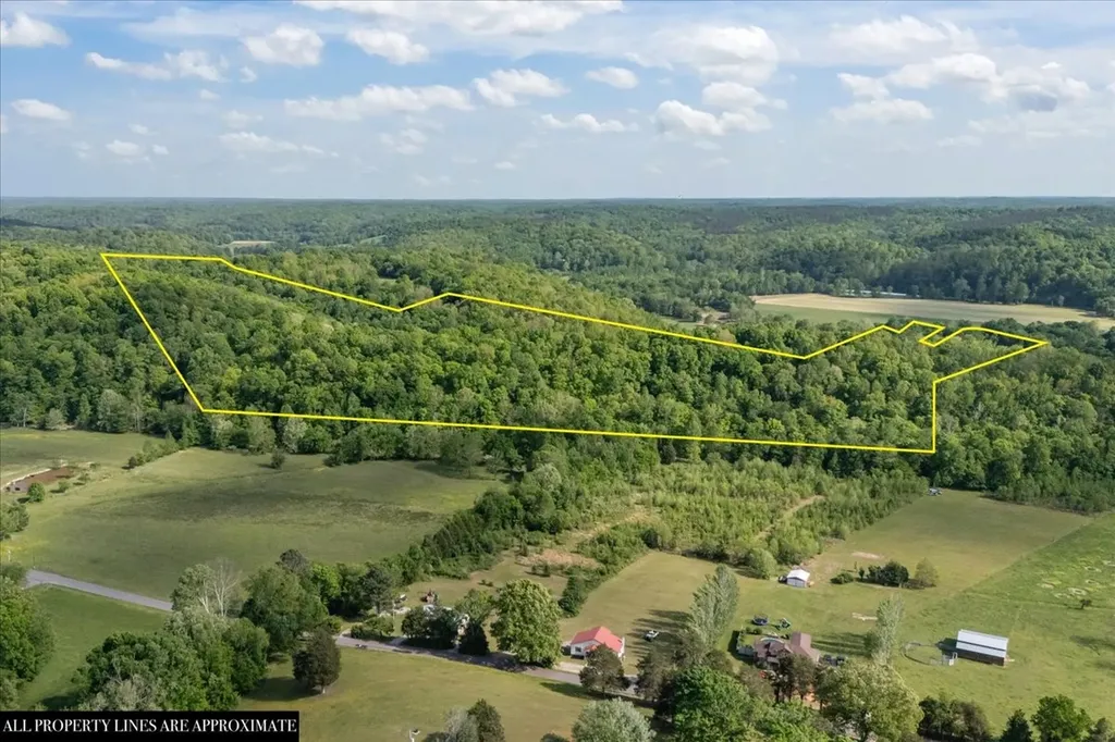 6130 Clydeton Road Waverly TN 37185