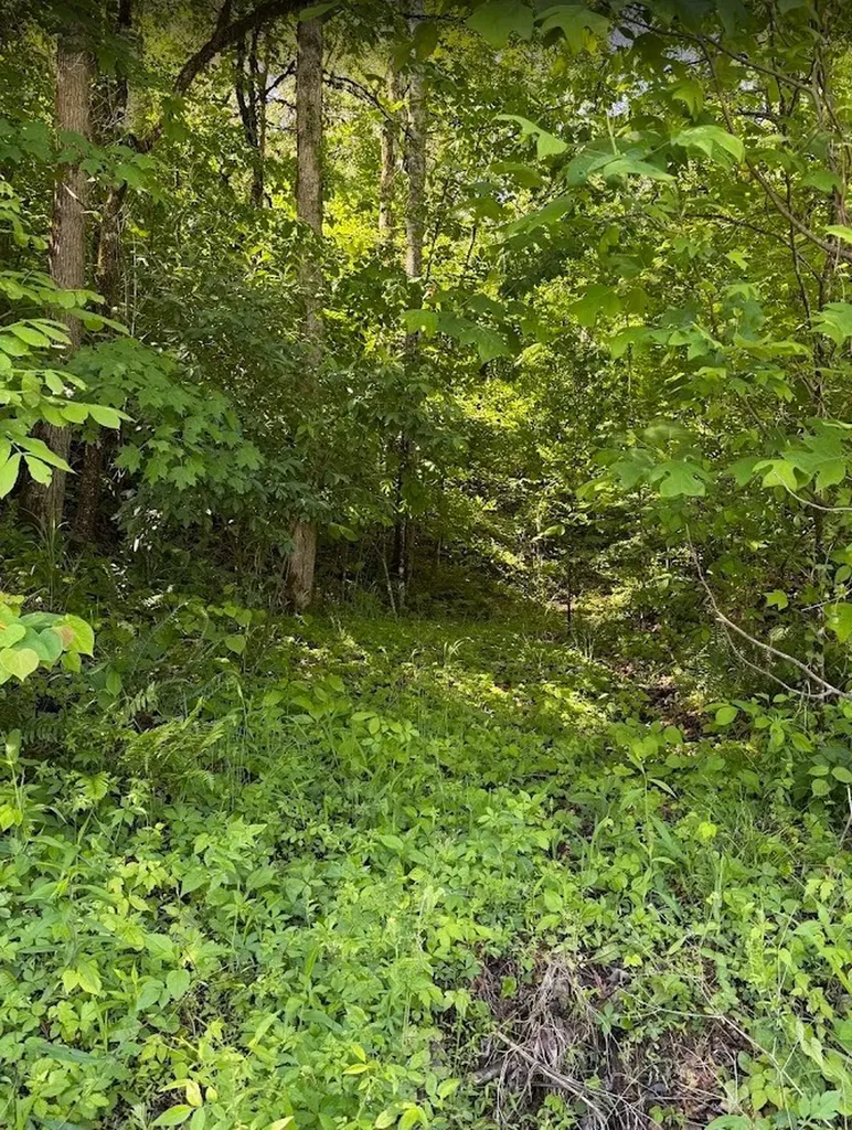 0 Spring Creek Road Cookeville TN 38501