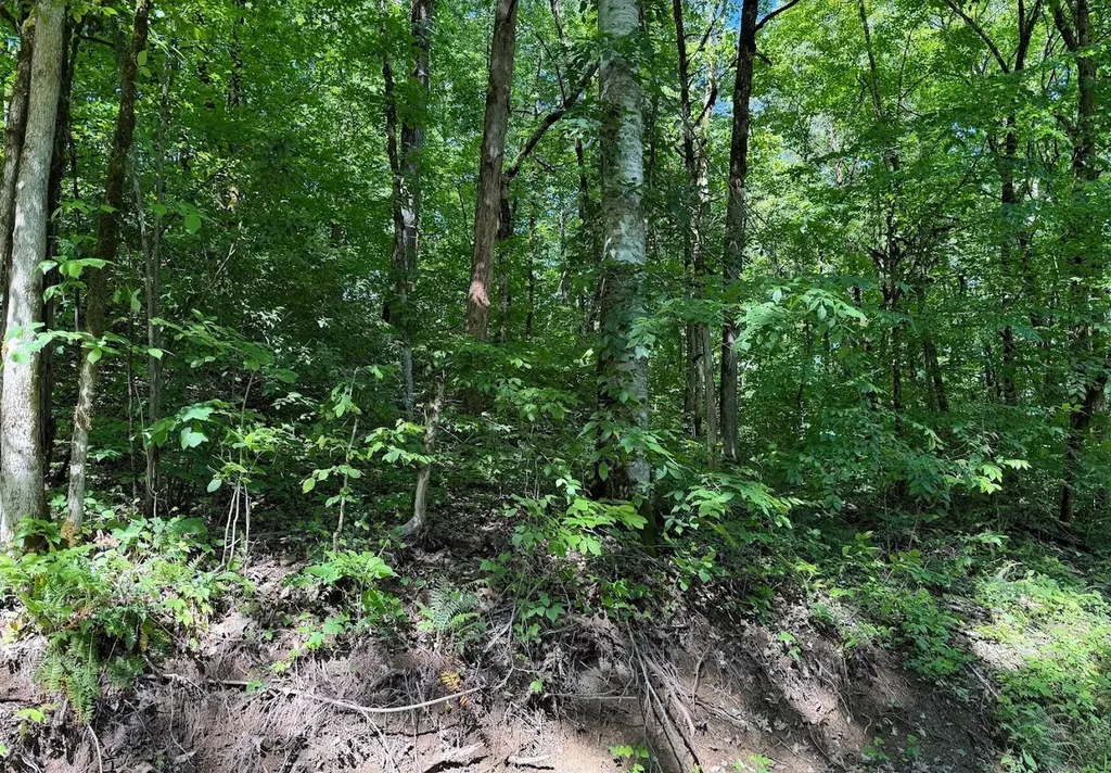 0 Spring Creek Road Cookeville TN 38501