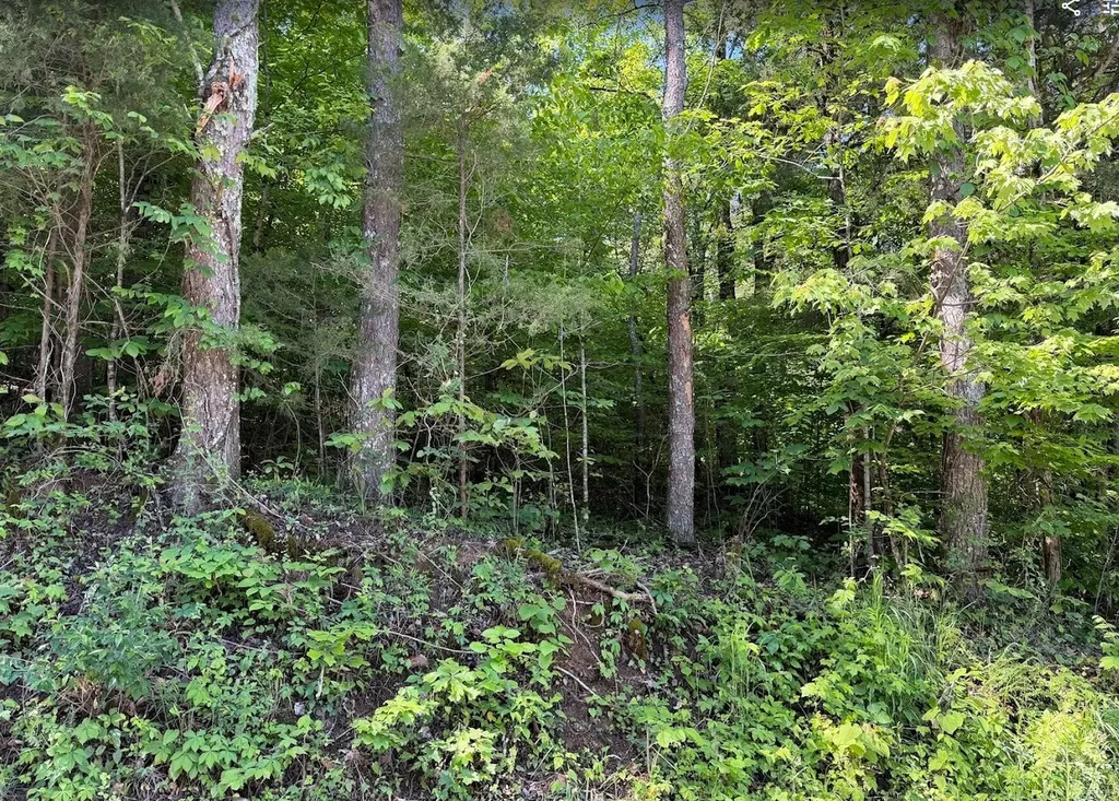 0 Spring Creek Road Cookeville TN 38501
