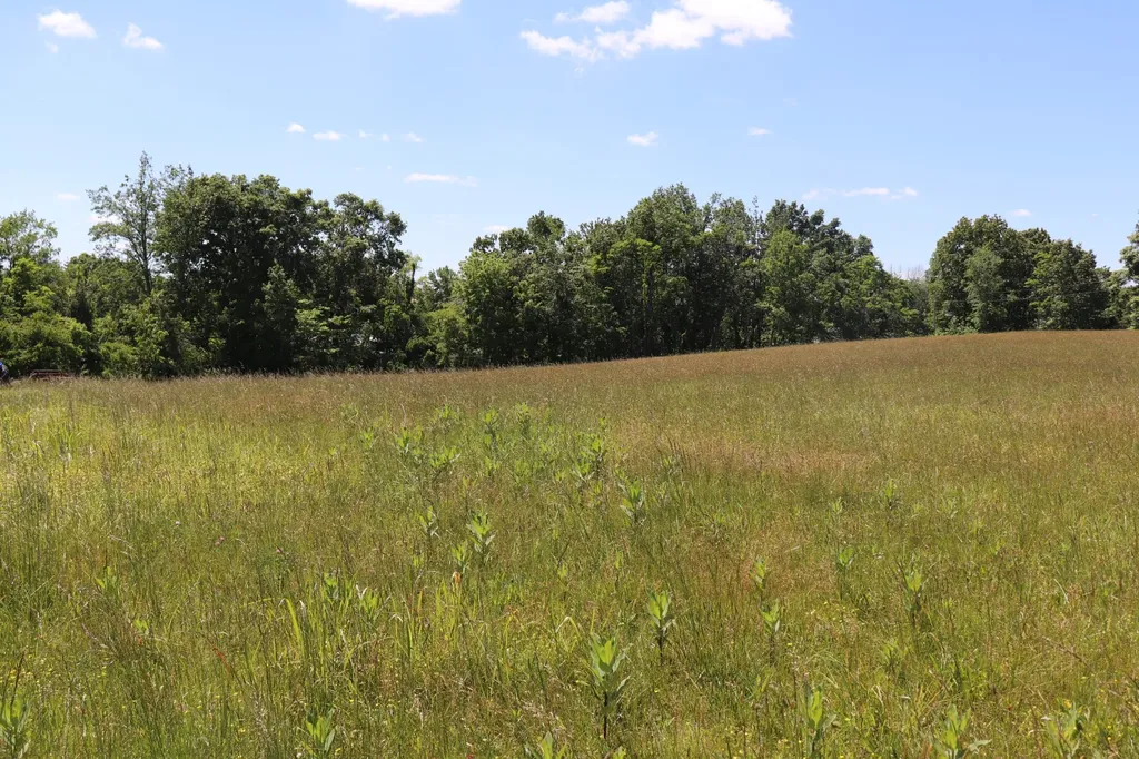0 Friends Lane Lafayette TN 37083