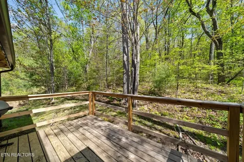 74 Black Cat Trail Rockwood TN 37854
