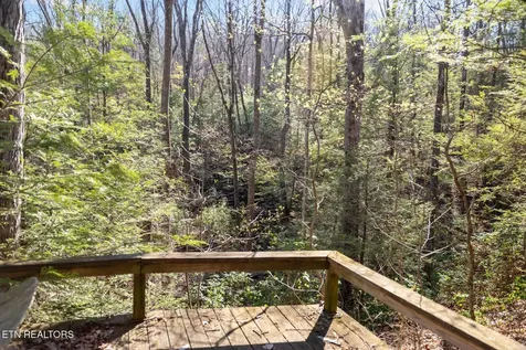74 Black Cat Trail Rockwood TN 37854