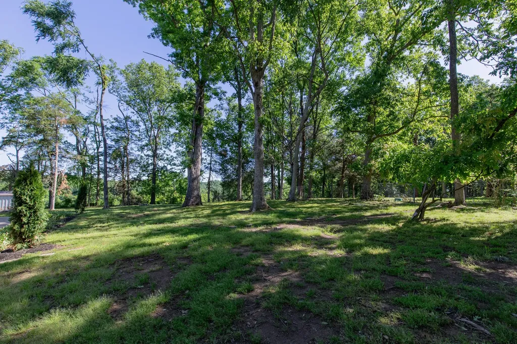 1591 Brinkley Branch Road Hendersonville TN 37075