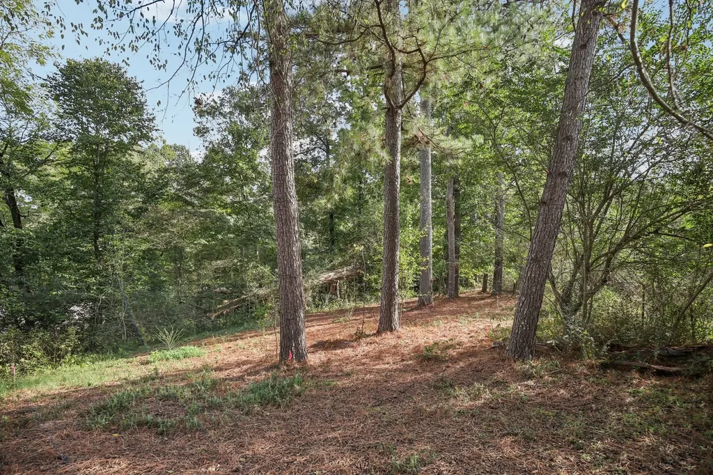 0 Old Clarksville Park Joelton TN 37080