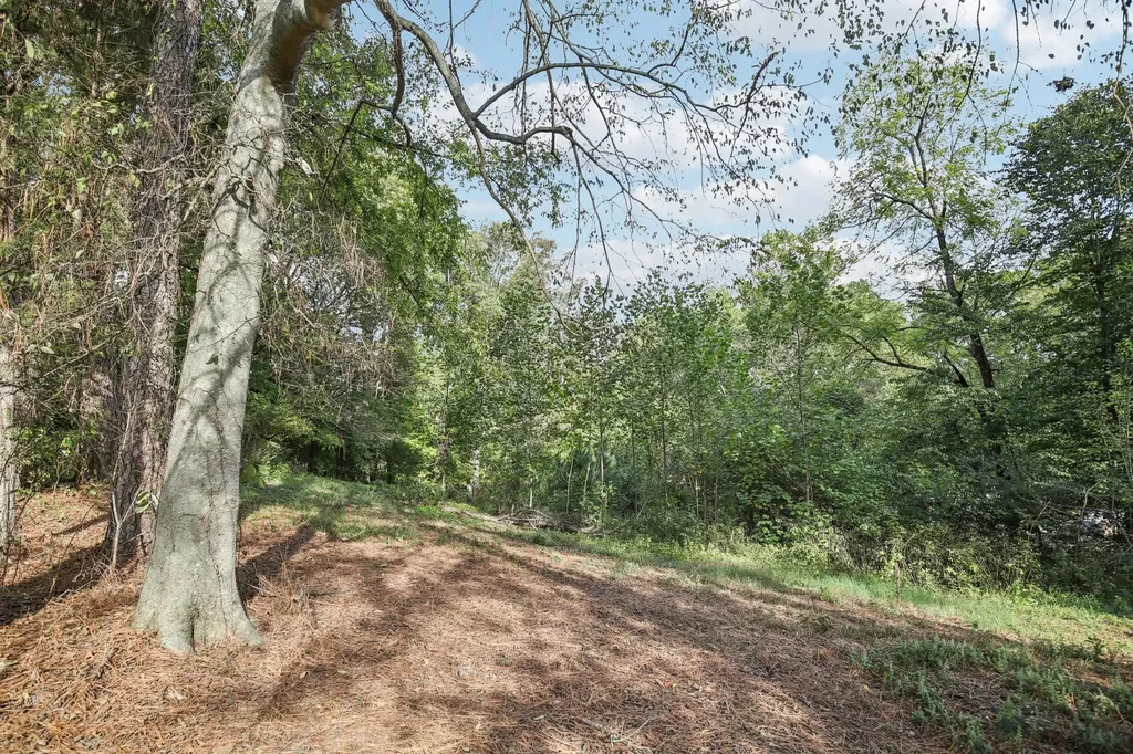 0 Old Clarksville Park Joelton TN 37080