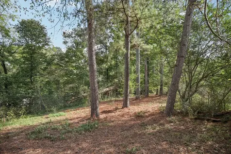 0 Old Clarksville Park Joelton TN 37080