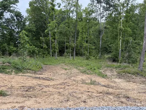 2995 Highway 231 Erin TN 37061
