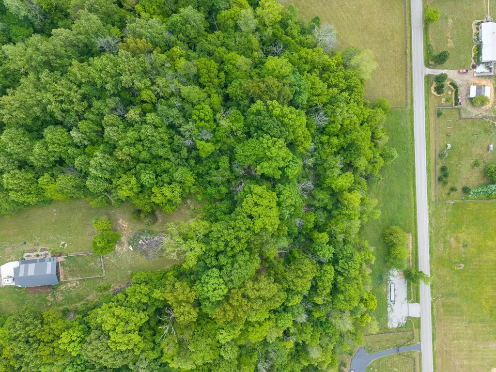 0 Leipers Creek Road Columbia TN 38401