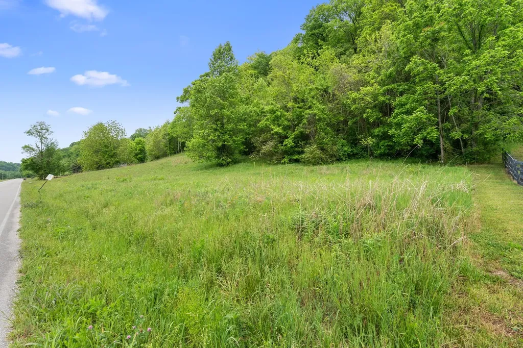 0 Leipers Creek Road Columbia TN 38401