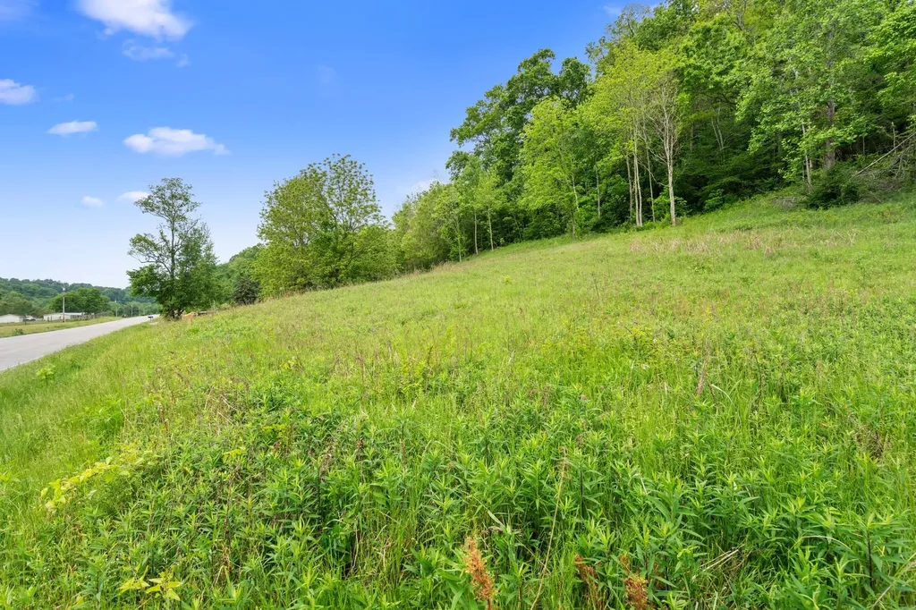0 Leipers Creek Road Columbia TN 38401