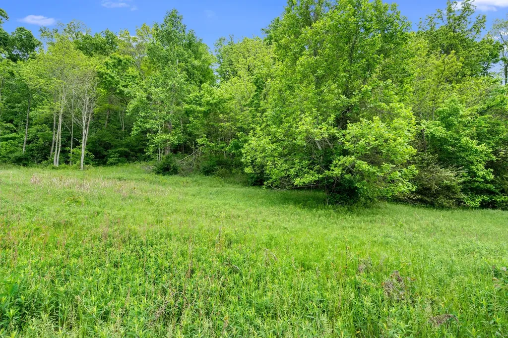 0 Leipers Creek Road Columbia TN 38401