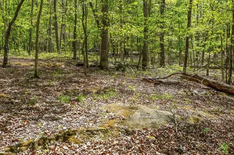 0 Deepwoods Road Sewanee TN 37375