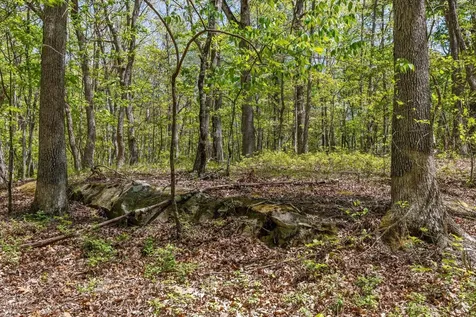 0 Deepwoods Road Sewanee TN 37375