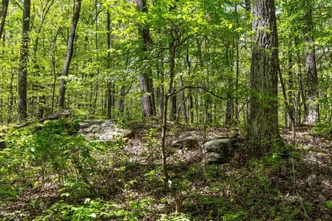 0 Deepwoods Road Sewanee TN 37375