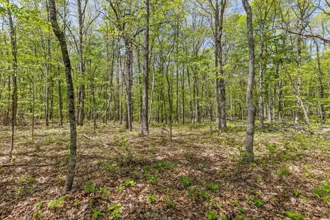0 Deepwoods Road Sewanee TN 37375