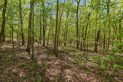 0 Deepwoods Road Sewanee TN 37375