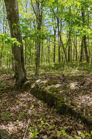 0 Deepwoods Road Sewanee TN 37375