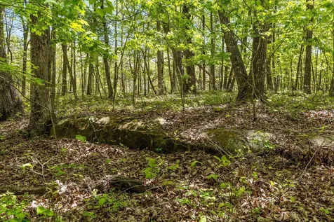 0 Deepwoods Road Sewanee TN 37375