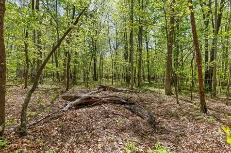 0 Deepwoods Road Sewanee TN 37375