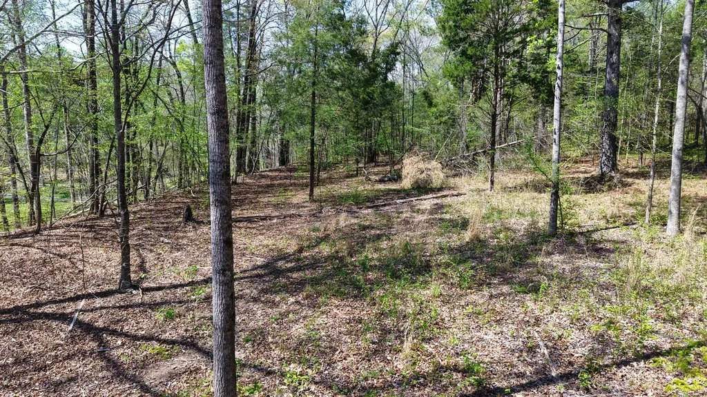 0 Brown Hollow Road Bon Aqua TN 37025