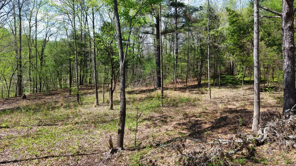 0 Brown Hollow Road Bon Aqua TN 37025
