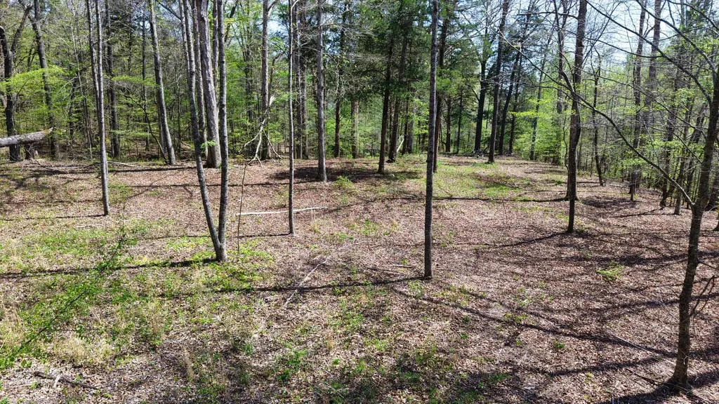 0 Brown Hollow Road Bon Aqua TN 37025