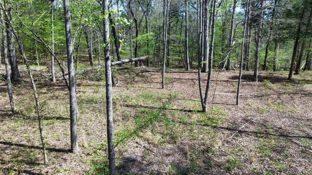 0 Brown Hollow Road Bon Aqua TN 37025