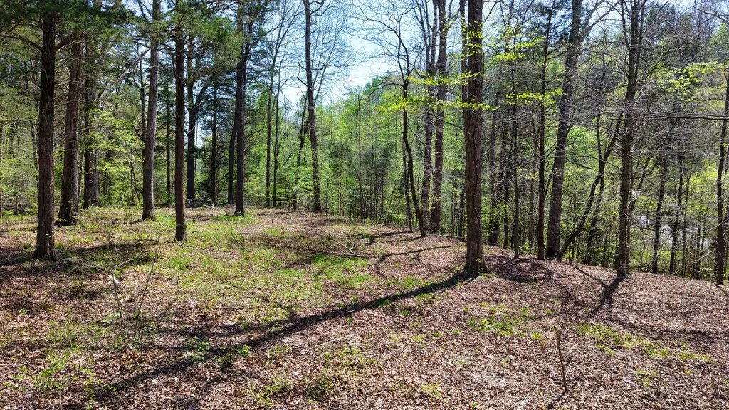 0 Brown Hollow Road Bon Aqua TN 37025