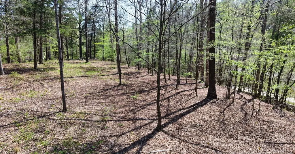 0 Brown Hollow Road Bon Aqua TN 37025