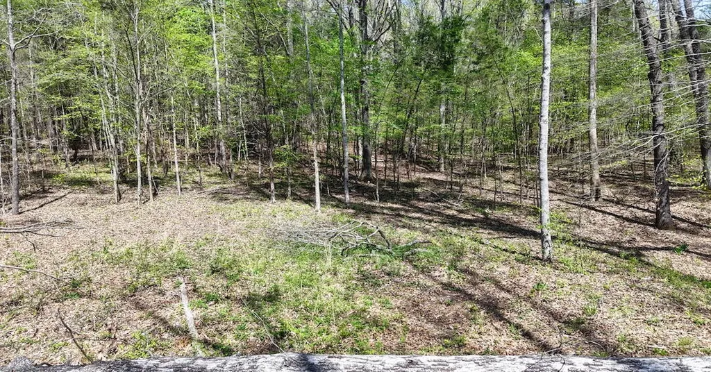 0 Brown Hollow Road Bon Aqua TN 37025
