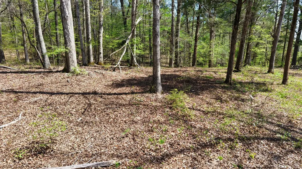 0 Brown Hollow Road Bon Aqua TN 37025