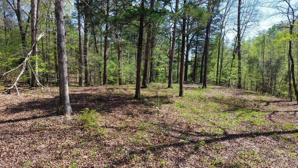0 Brown Hollow Road Bon Aqua TN 37025
