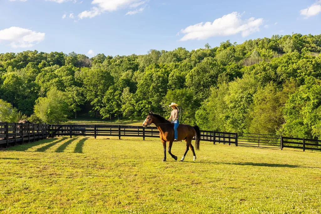 1496 Coleman Road Franklin TN 37064