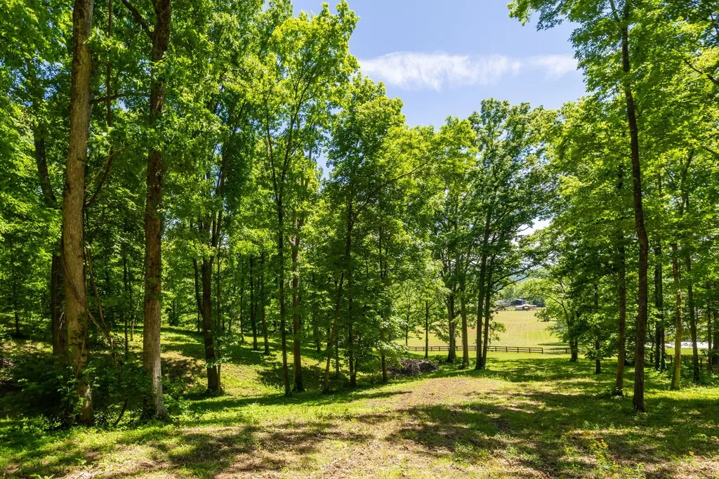 1496 Coleman Road Franklin TN 37064