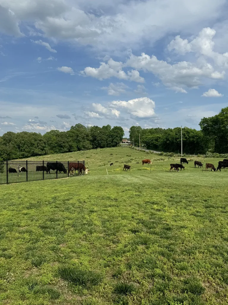 1045 Mcclure Road Clarksville TN 37040