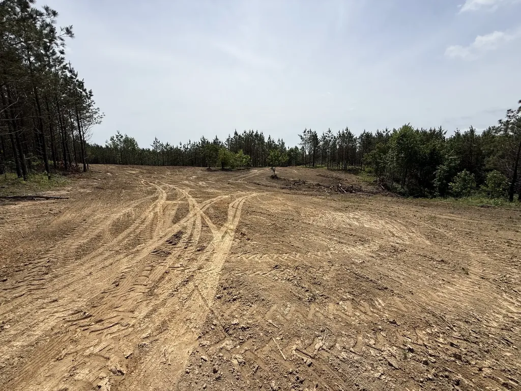 0 Highway 231 Erin TN 37061