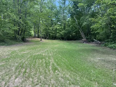 0 Cub Creek Road Indian Mound TN 37079