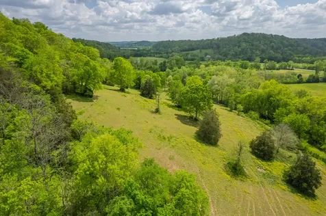 13546 Campbellsville Road Lynnville TN 38472