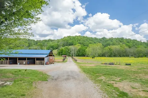 13546 Campbellsville Road Lynnville TN 38472