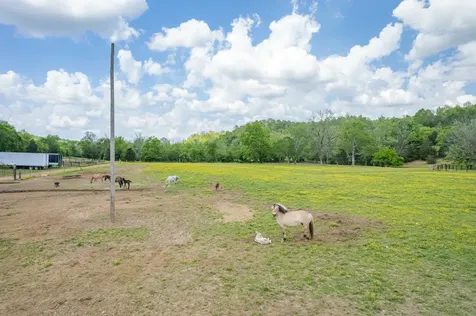 13546 Campbellsville Road Lynnville TN 38472
