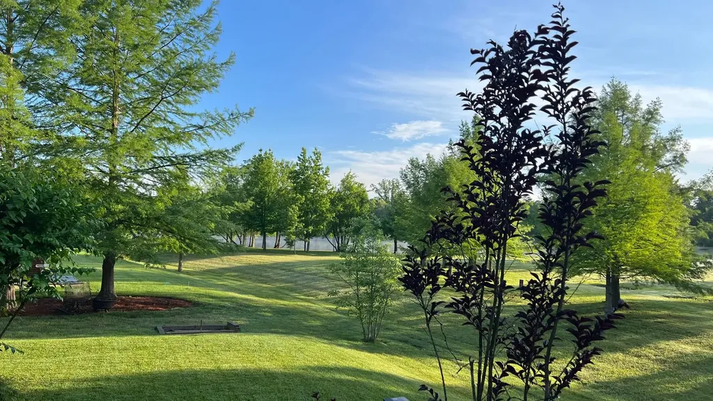 721 Springlake Drive Franklin TN 37064