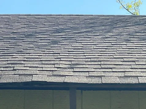 219 Spring Street Ripley TN 38063
