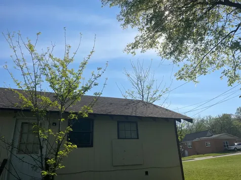 219 Spring Street Ripley TN 38063