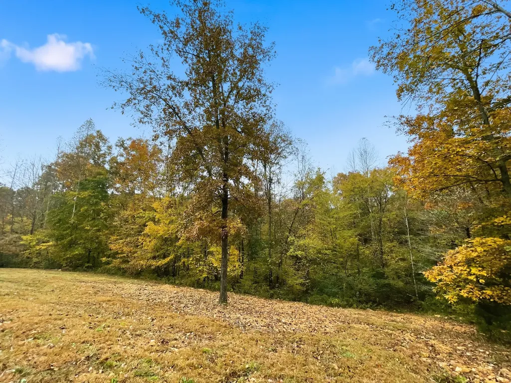 4310 Surji Circle Centerville TN 37033