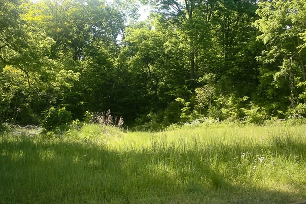 0 Harpeth Peytonsville Road Thompsons Station TN 37179