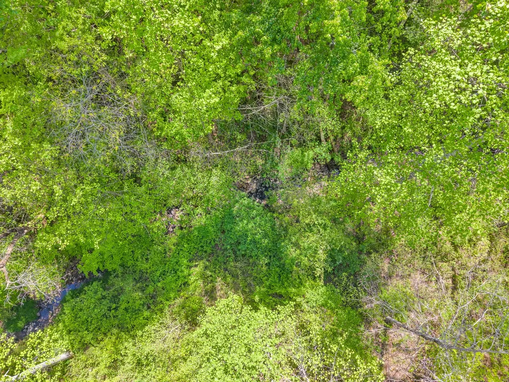 12 Hickory View Lane Crossville TN 38572