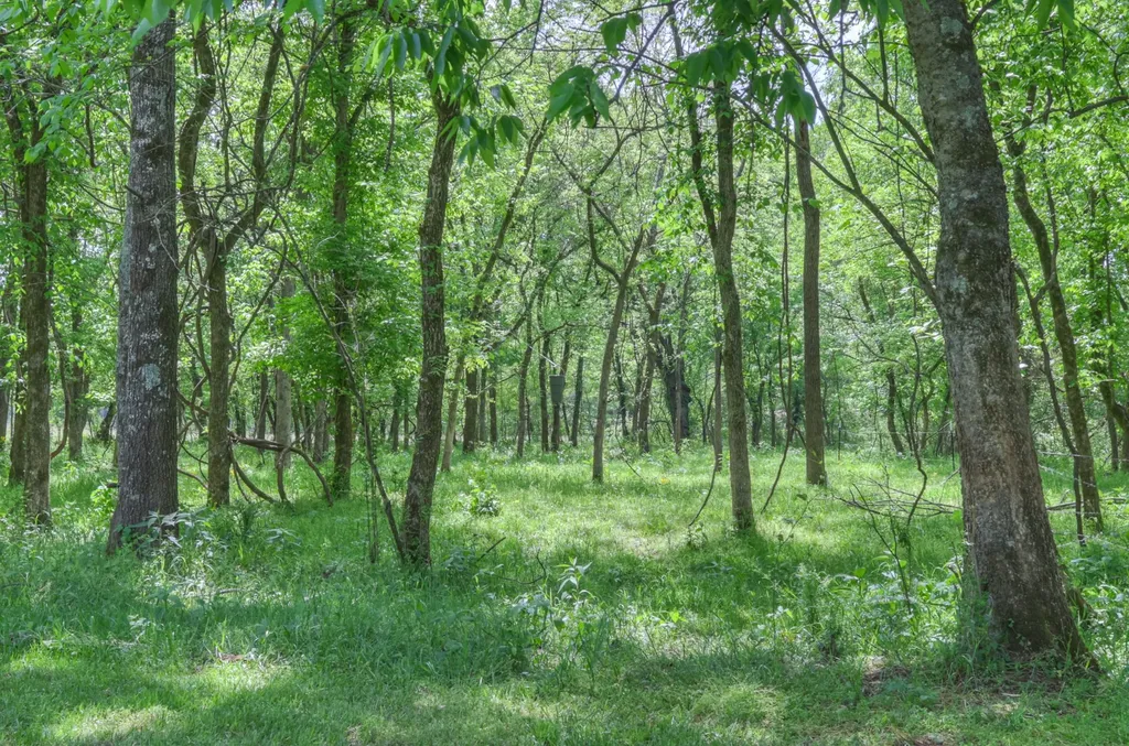 2153 Williamsport Pike Columbia TN 38401