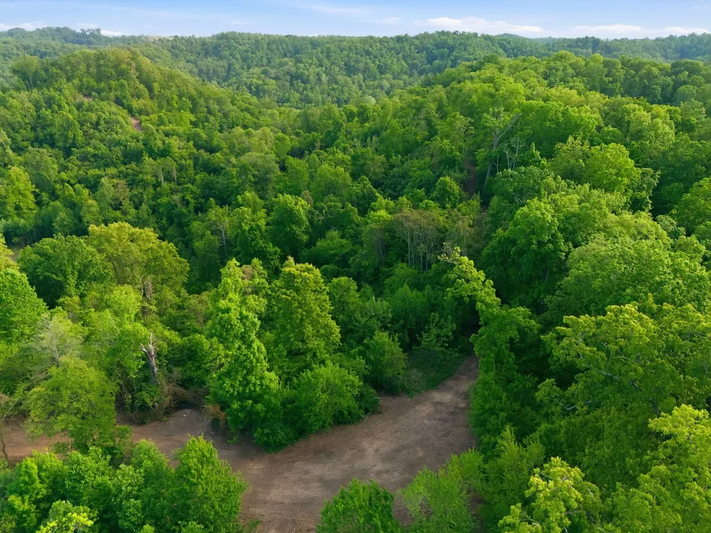 7791 Old Charlotte Pike Nashville TN 37209