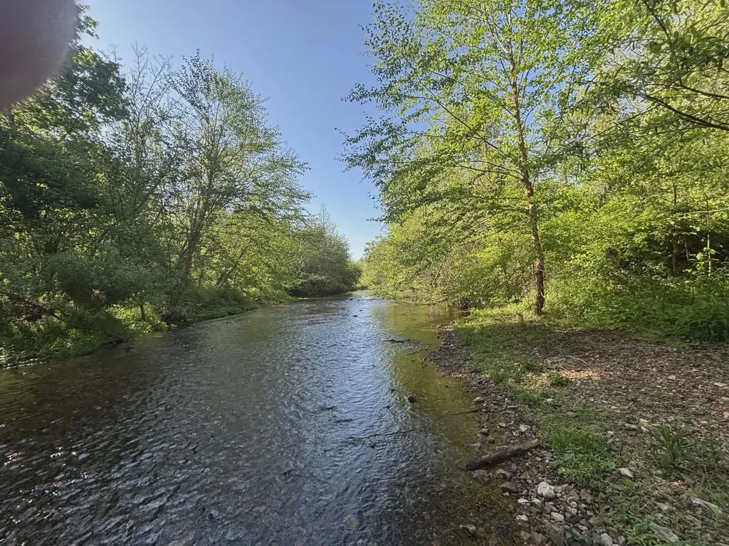 519 Highway 48, S Centerville TN 37033